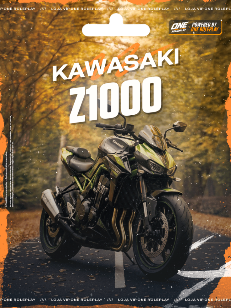 🏍️Kawazaki Z1000🏍️