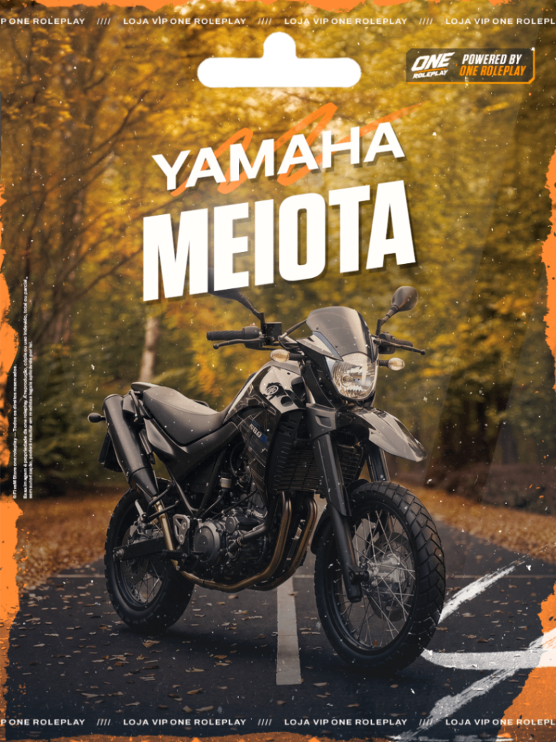 🏍️Yamaha XT660🏍️