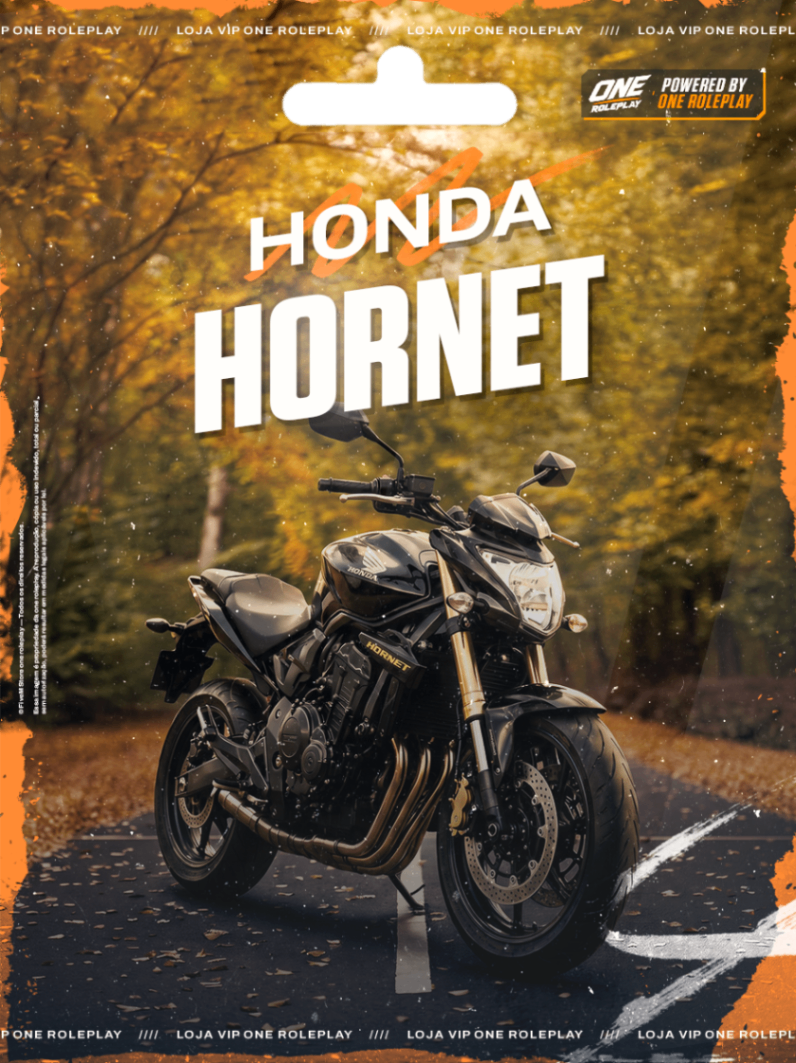 🏍️Honda Hornet🏍️