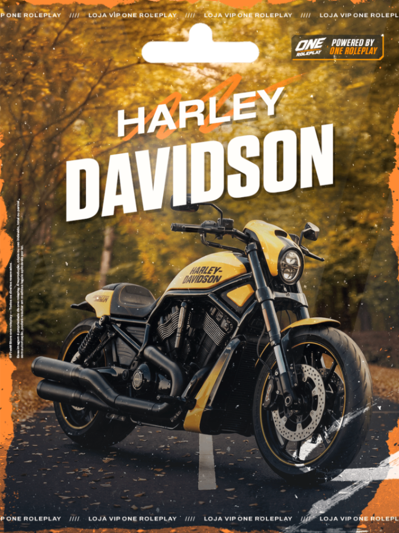 🏍️HD DAVIDSON🏍️