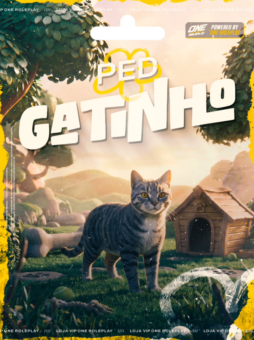 🐱Gatinho Cat🐱